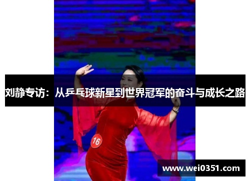 刘静专访：从乒乓球新星到世界冠军的奋斗与成长之路