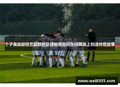 个子虽低却技艺超群的足球明星如何在绿茵场上创造传奇故事