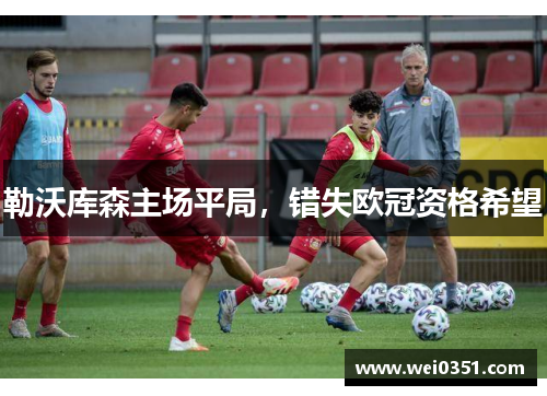 勒沃库森主场平局，错失欧冠资格希望