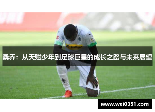 桑乔：从天赋少年到足球巨星的成长之路与未来展望